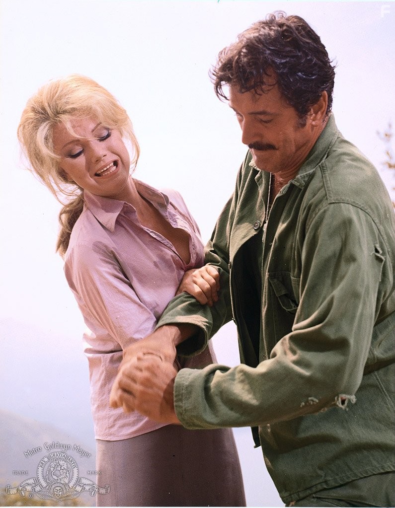 Rock Hudson and Sylva Koscina in Hornets' Nest (1970)