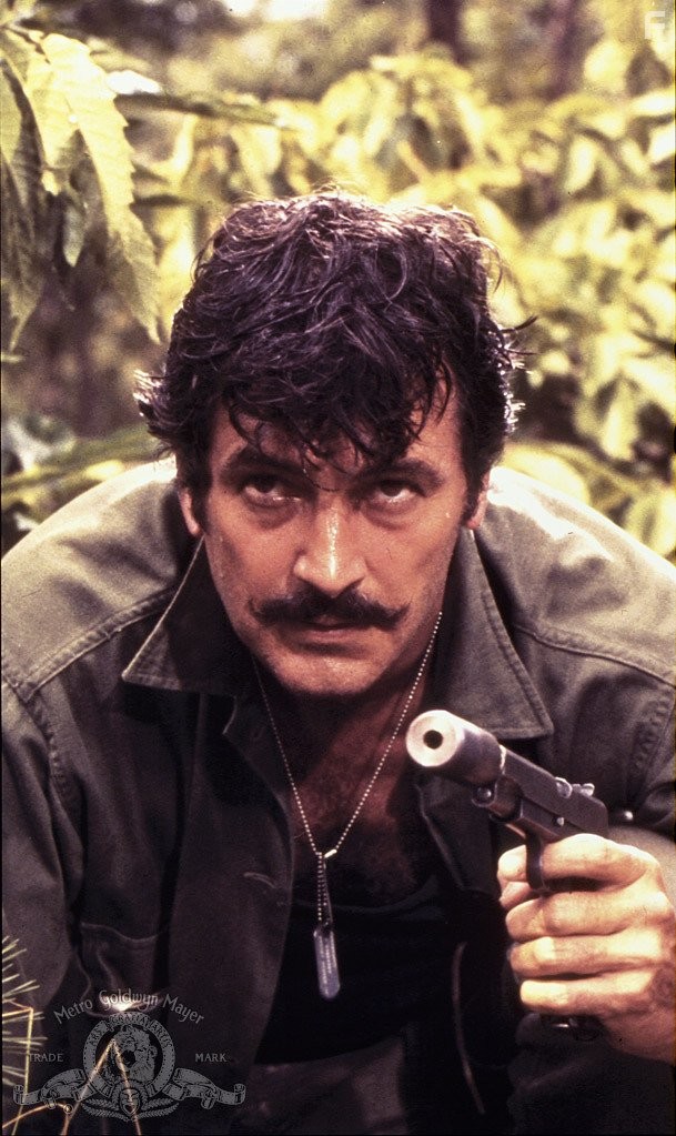 Rock Hudson in Hornets' Nest (1970)