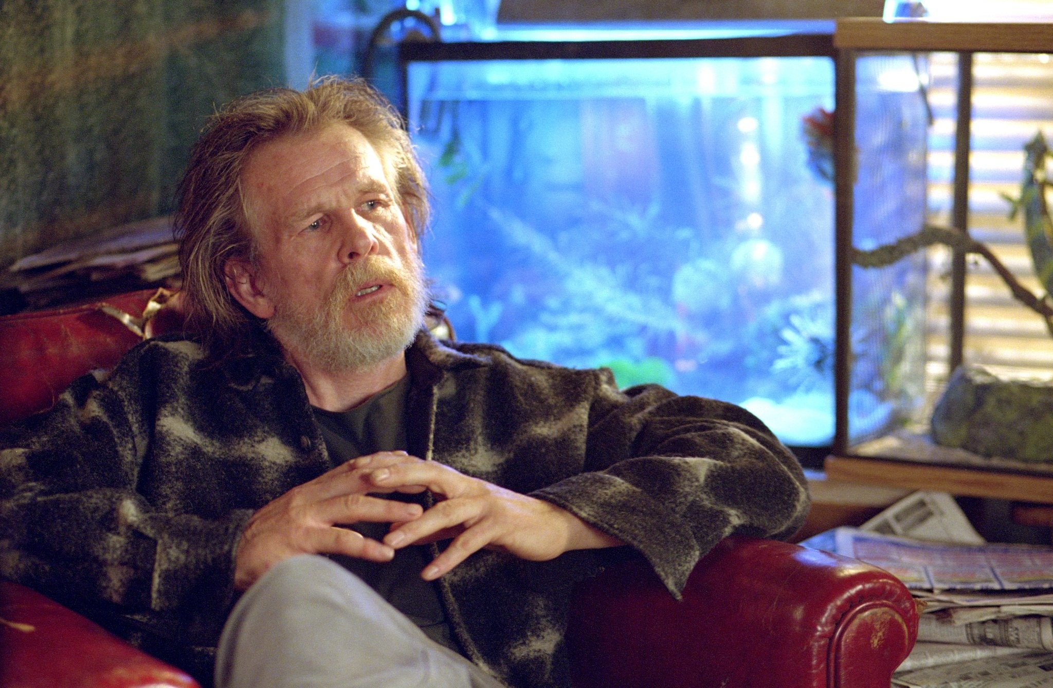 Nick Nolte in Халк (2003)