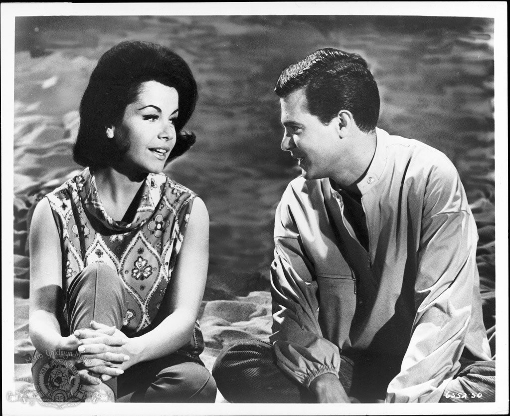 Annette Funicello and Dwayne Hickman in How to Stuff a Wild Bikini (1965)