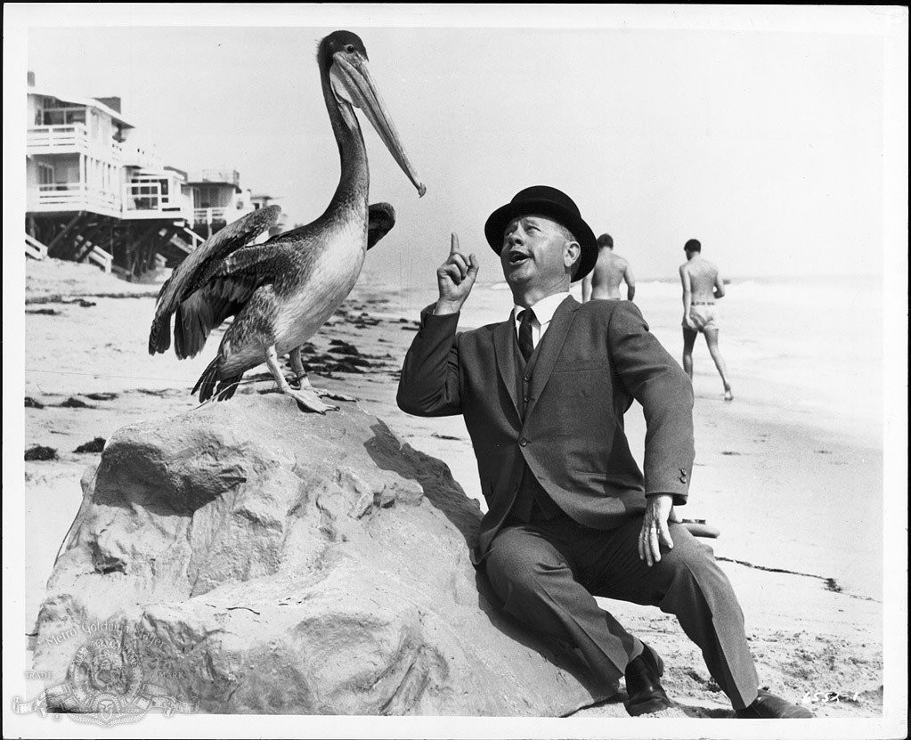Mickey Rooney in How to Stuff a Wild Bikini (1965)