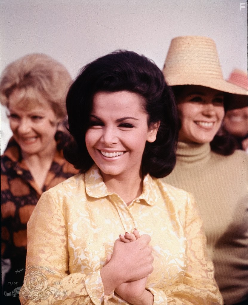 Annette Funicello in How to Stuff a Wild Bikini (1965)