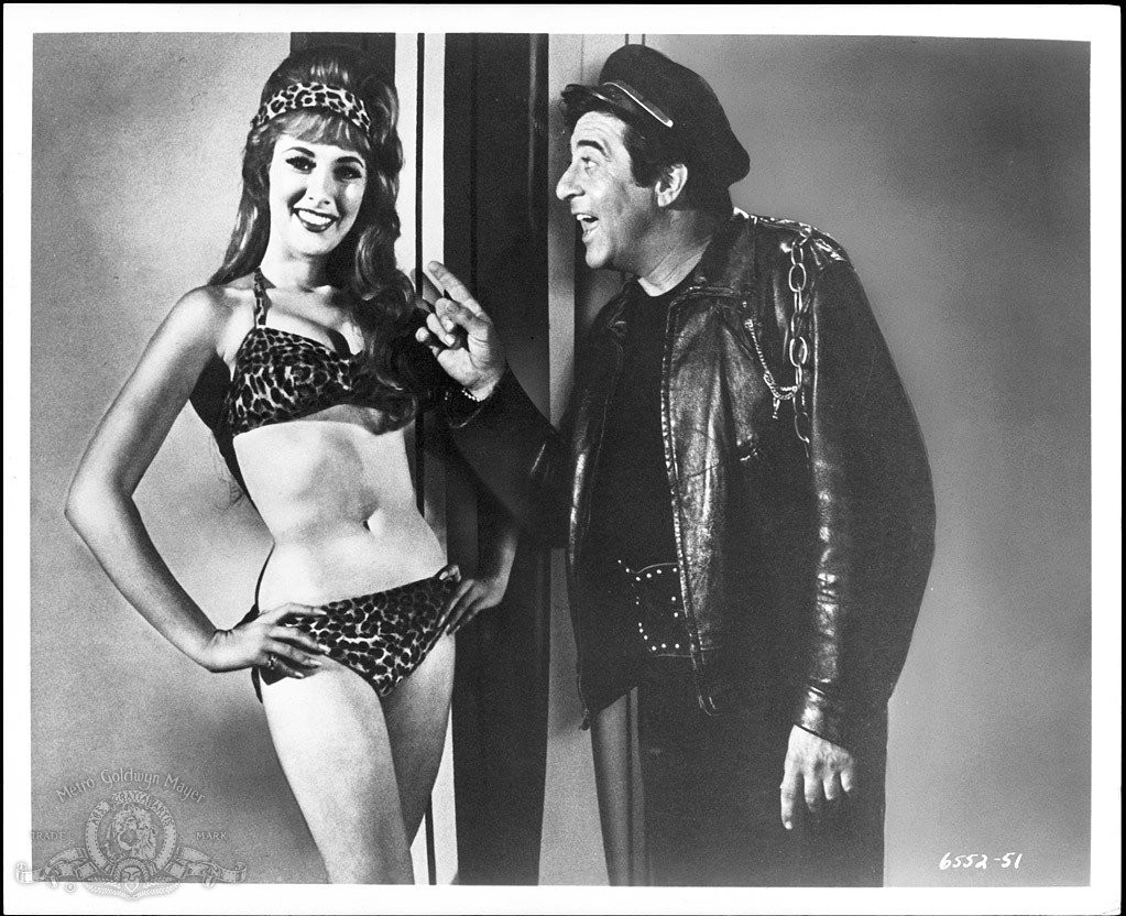Beverly Adams and Harvey Lembeck in How to Stuff a Wild Bikini (1965)