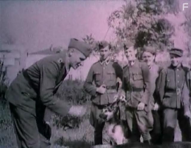 Противостояние #22