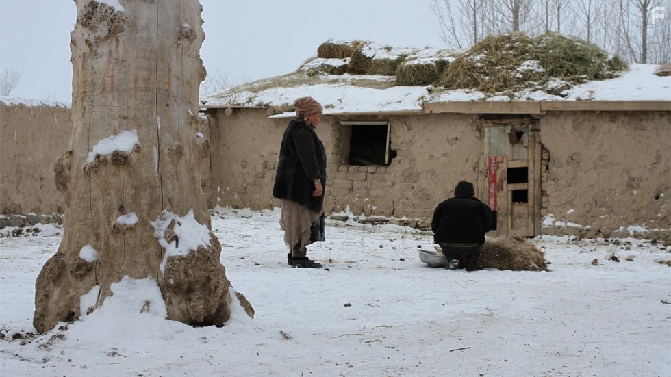 Уроки гармонии (2013)