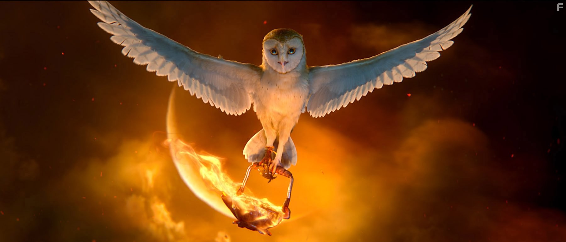 Jim Sturgess in Легенды ночных стражей (2010)