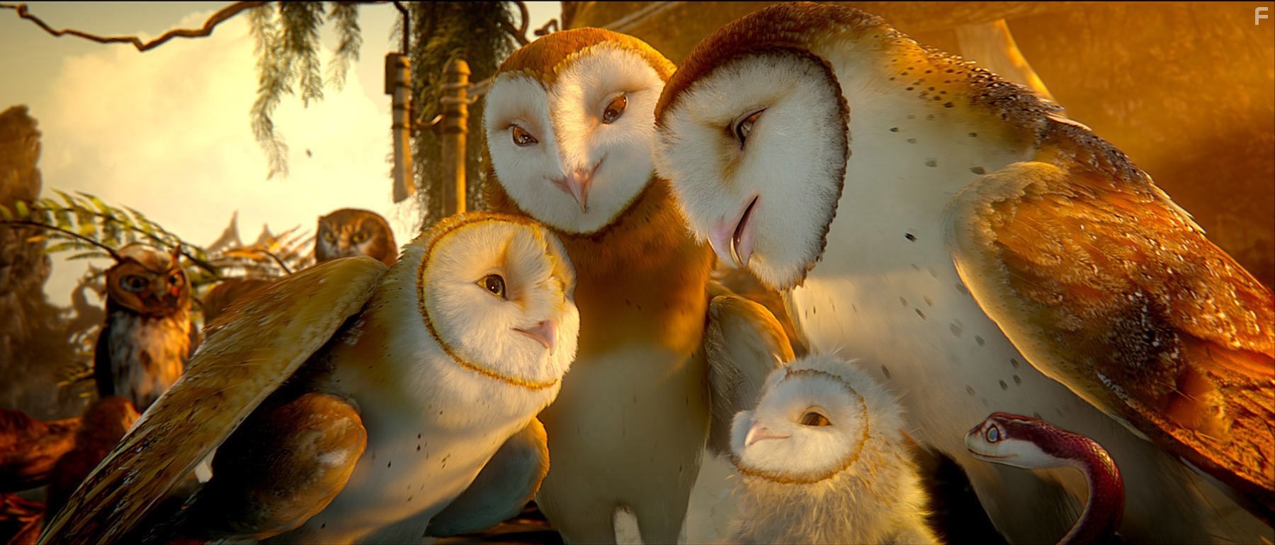 Essie Davis, Miriam Margolyes, Jim Sturgess, Hugo Weaving, and Adrienne DeFaria in Легенды ночных стражей (2010)