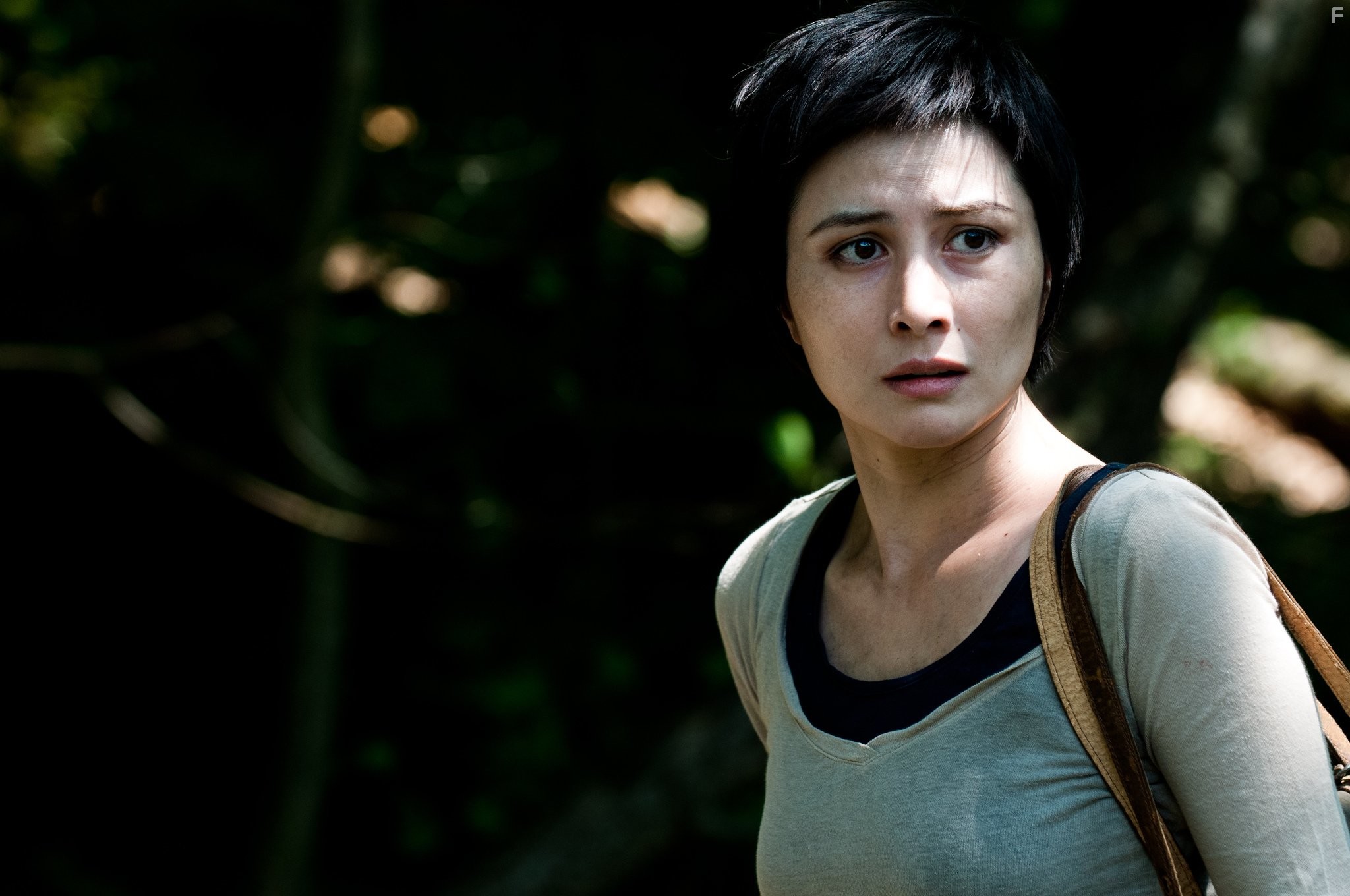 Josie Ho in Открытая могила (2013)