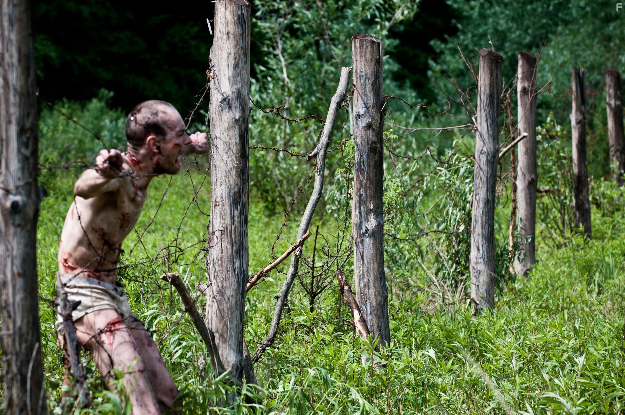 Открытая могила (2013)