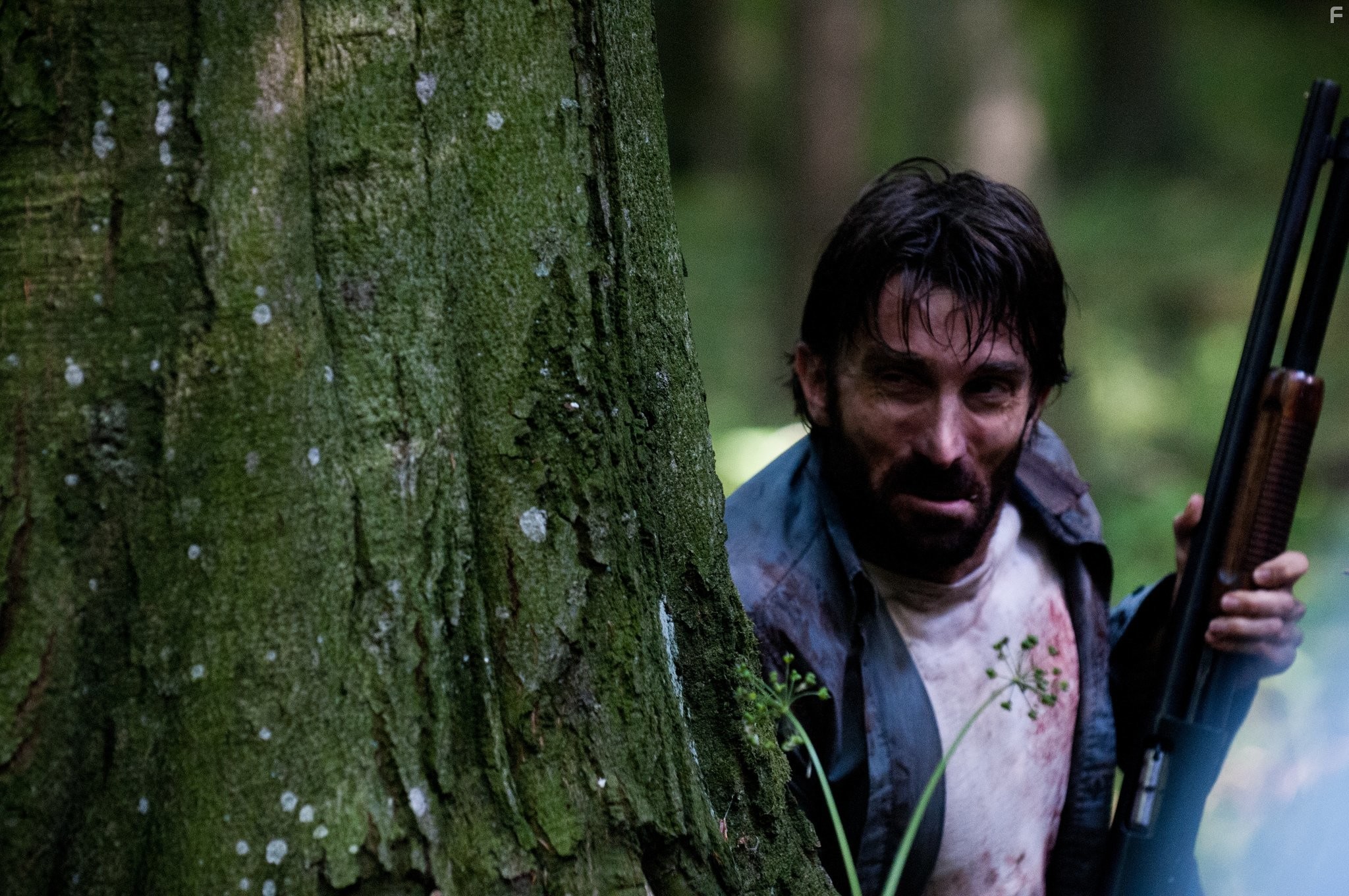 Sharlto Copley in Открытая могила (2013)