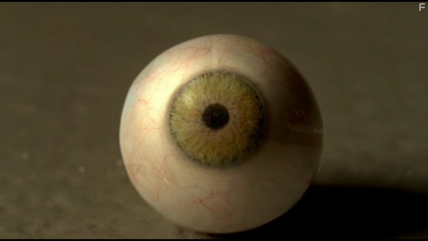 Запах из стока