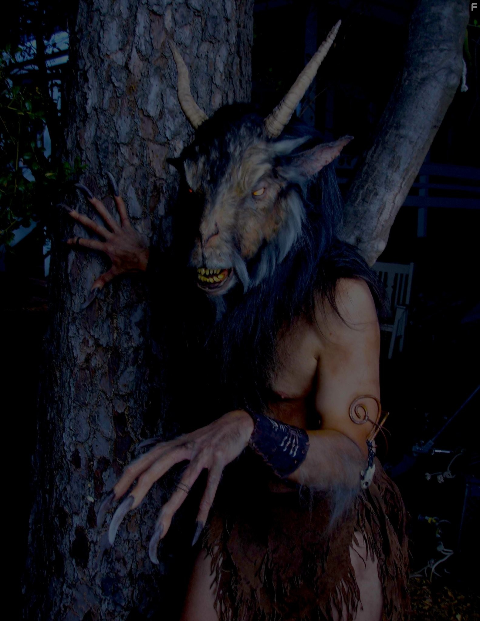 The Black Waters of Echo's Pond (2009)