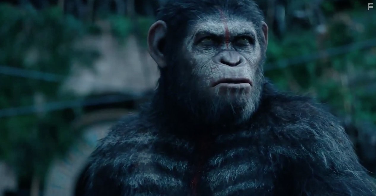 Andy Serkis in Планета обезьян: Революция (2014)