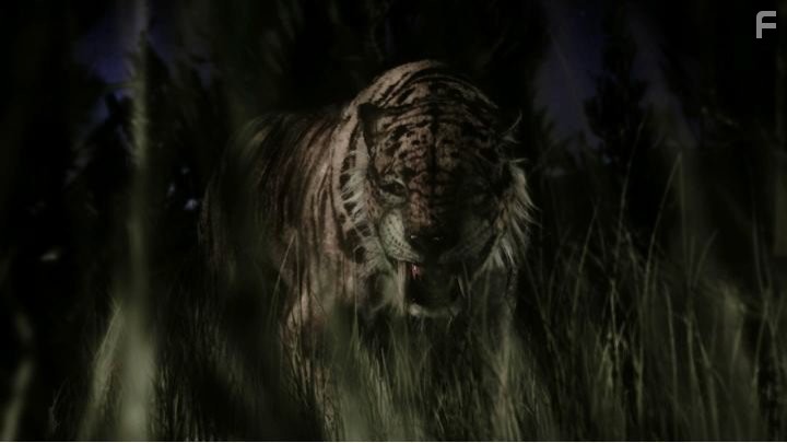 Journey to 10,000 BC (2008)