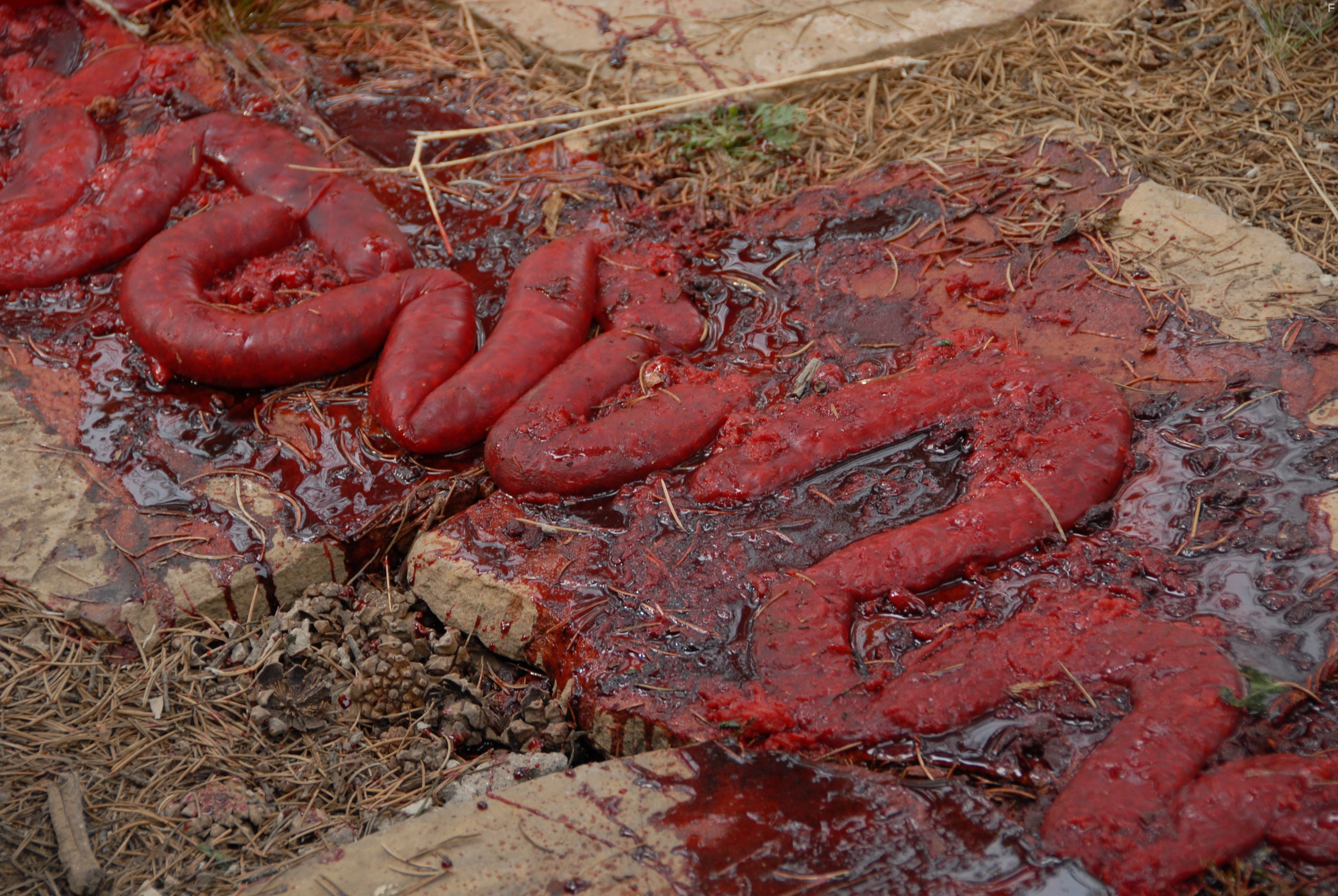 Секретный эксперимент (2013)