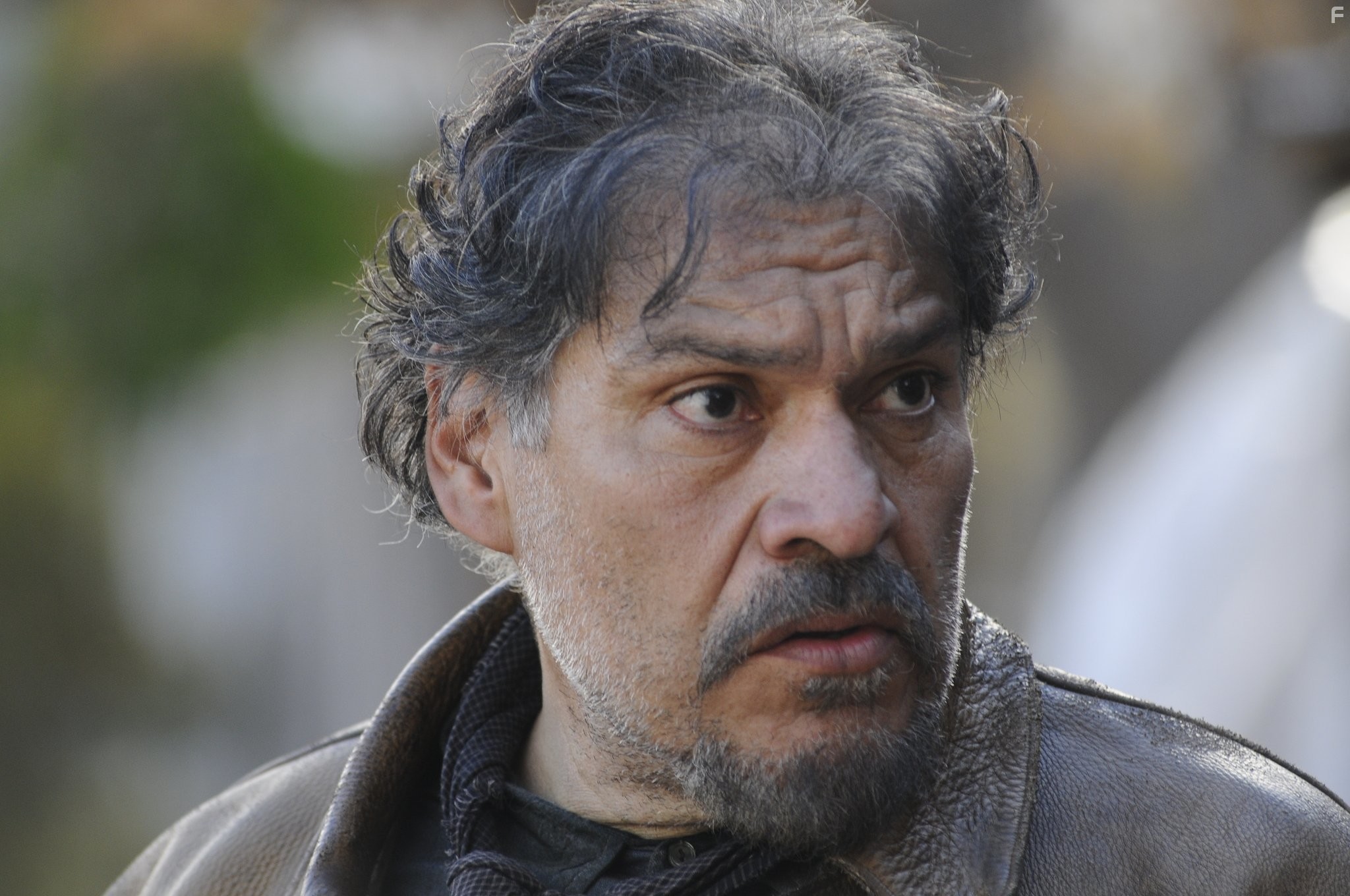 Bless Me, Ultima (2013)