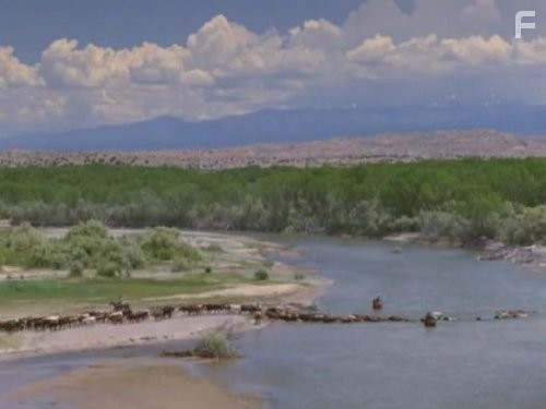 Одинокий голубь (1989)