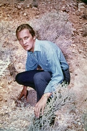 "The Invaders" Roy Thinnes