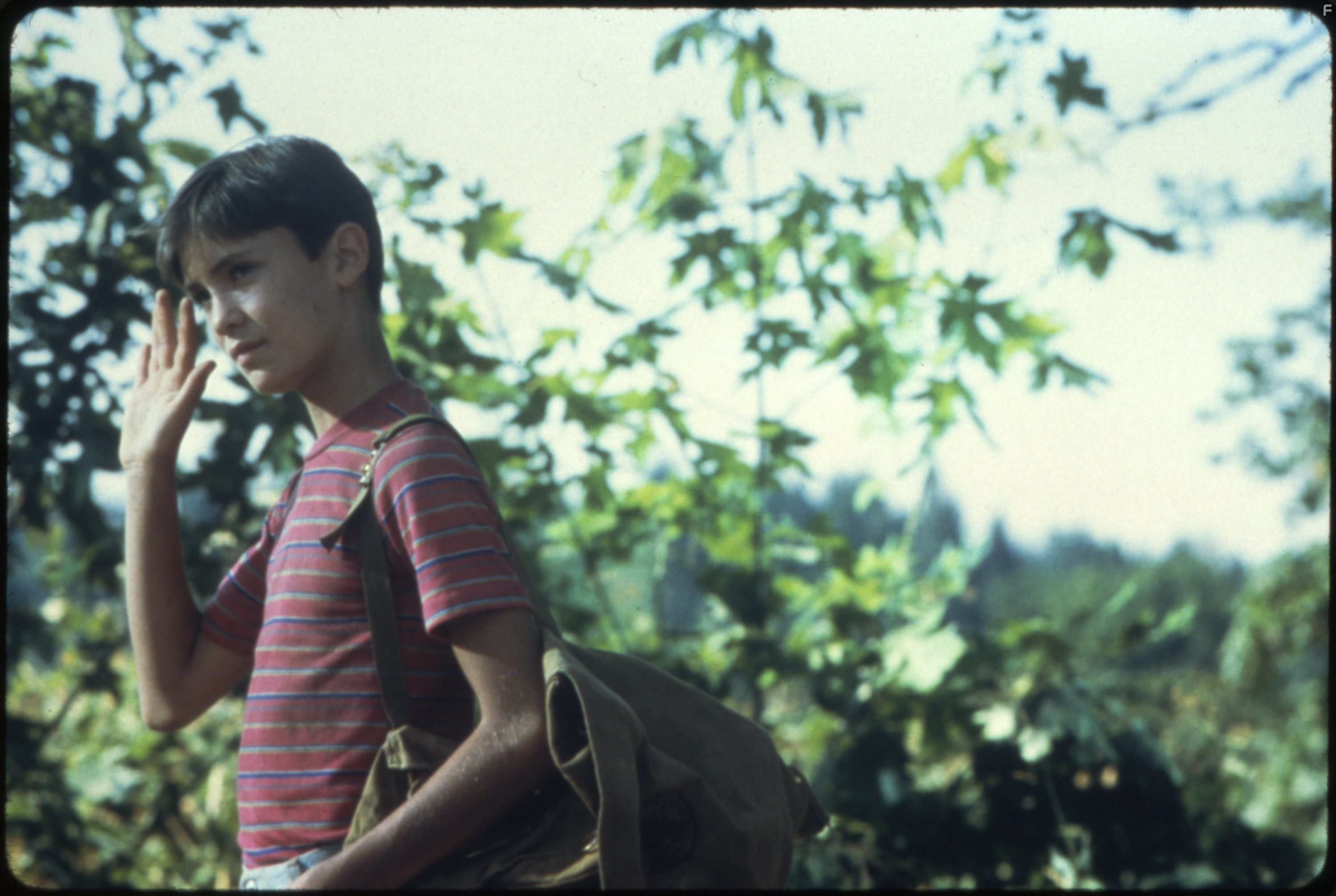 Wil Wheaton in Останься со мной (1986)