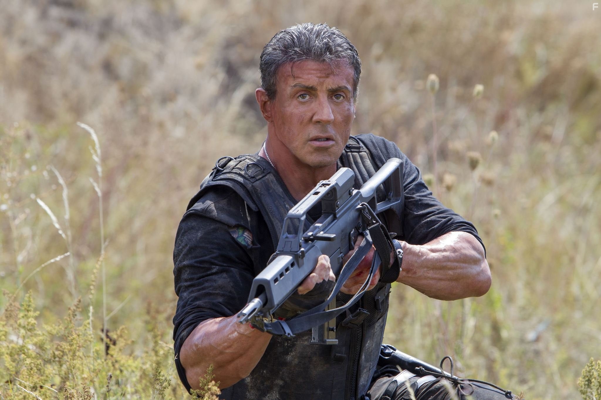 Sylvester Stallone in Неудержимые 3 (2014)