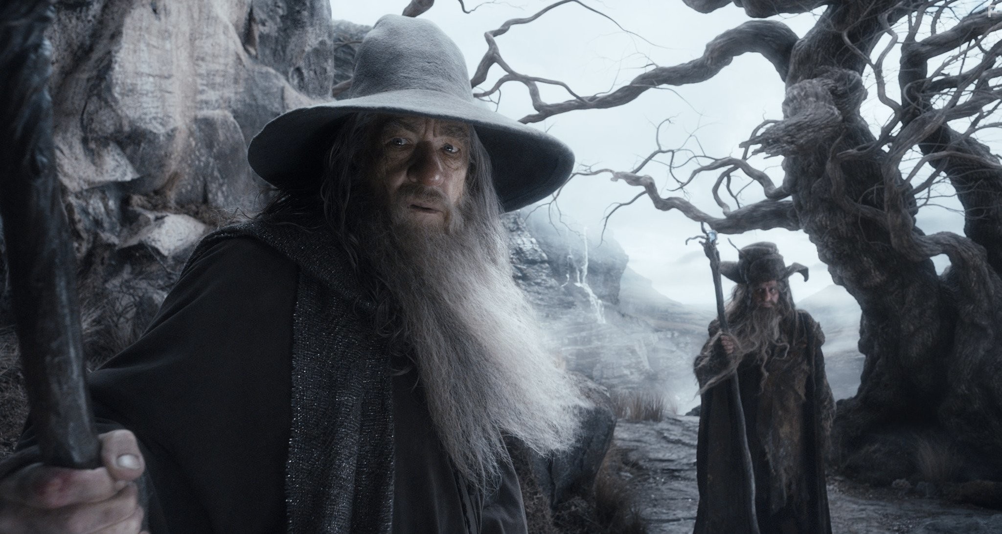 Ian McKellen and Sylvester McCoy in Хоббит: Пустошь Смауга (2013)