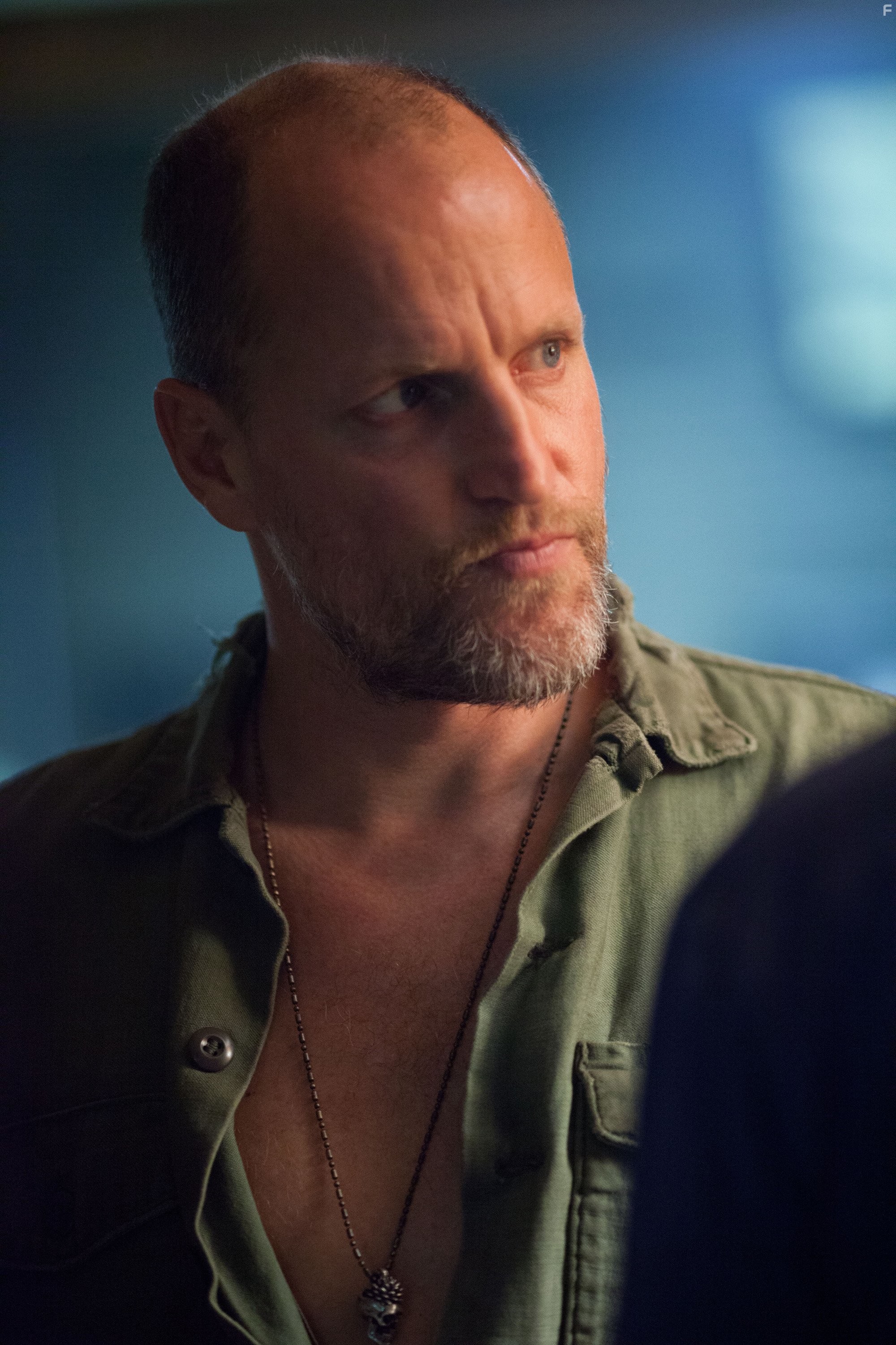 Woody Harrelson in Из пекла (2013)
