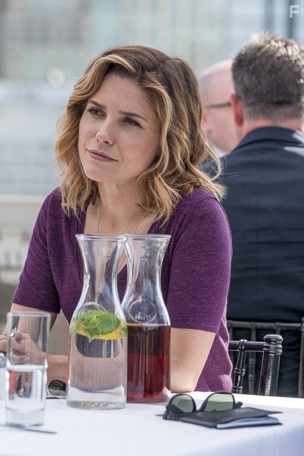 Sophia Bush in Полиция Чикаго (2014)