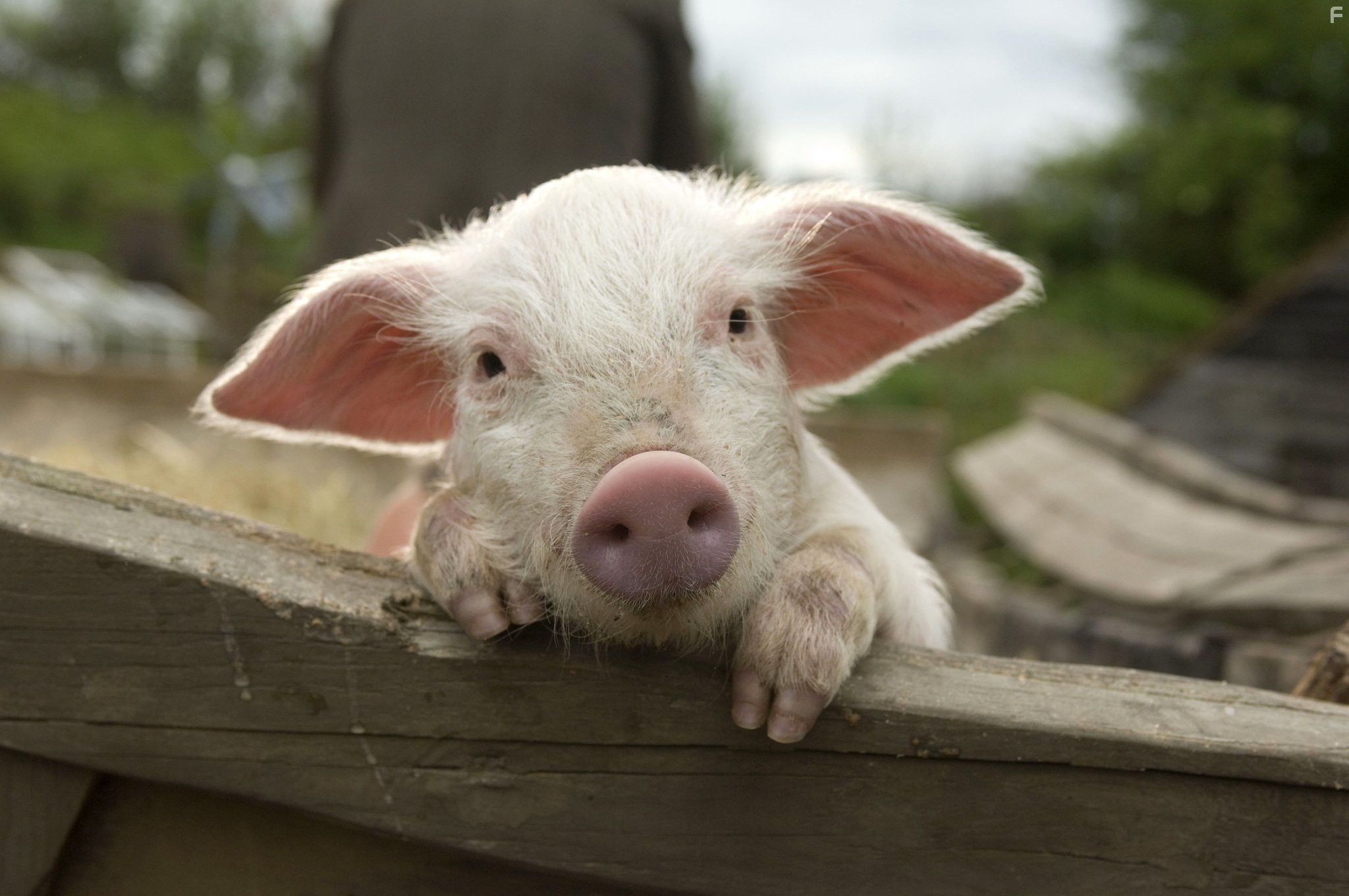 Моя ужасная няня 2 (2010)