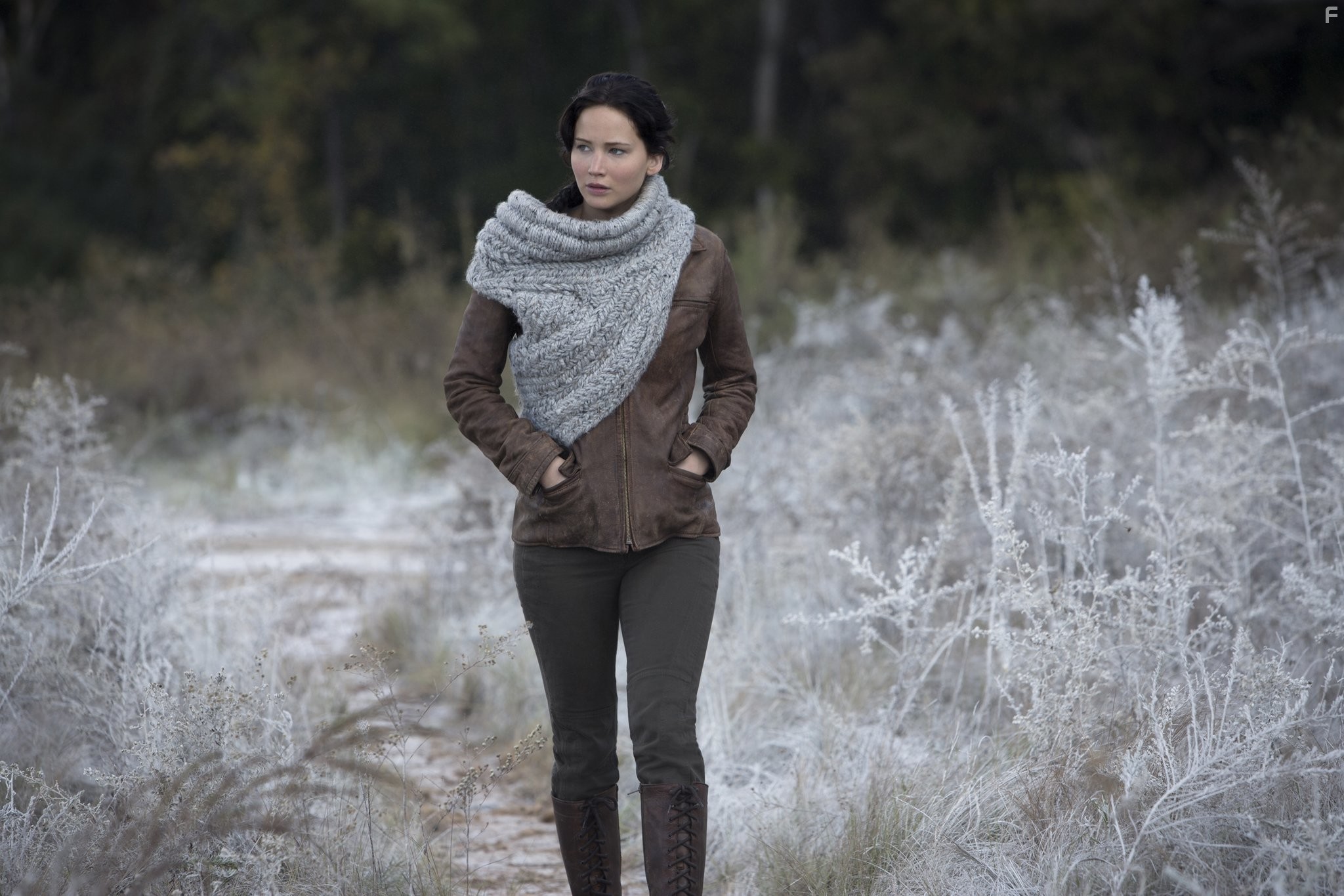 Jennifer Lawrence in Голодные игры: И вспыхнет пламя (2013)