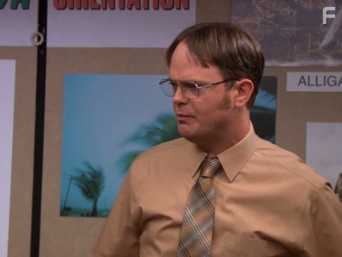 Rainn Wilson in Офис (2005)