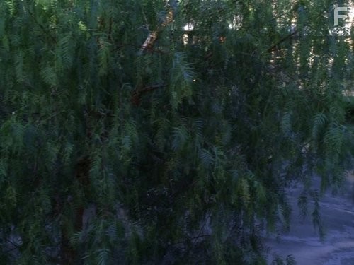 Говорящая с призраками (2005)