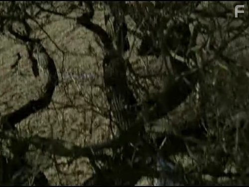 Тугая струна (2002)