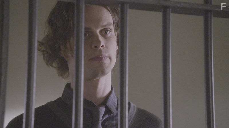 Matthew Gray Gubler in Мыслить как преступник (2005)