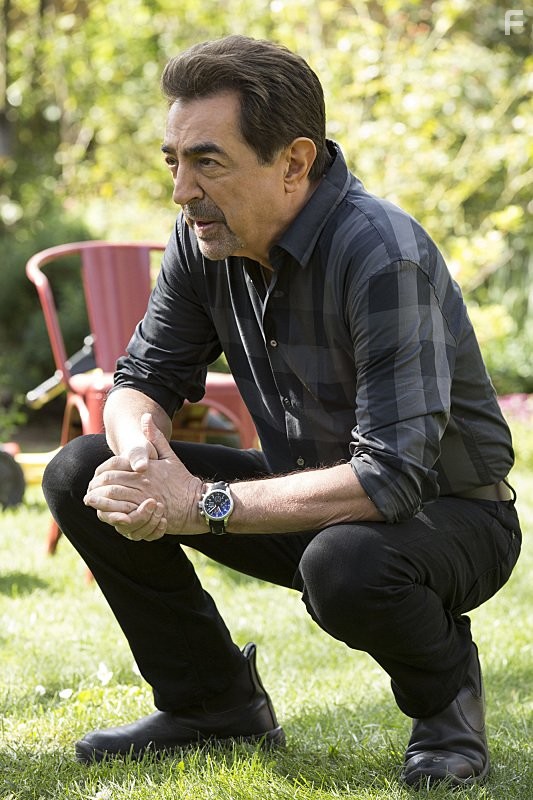 Joe Mantegna in Мыслить как преступник (2005)