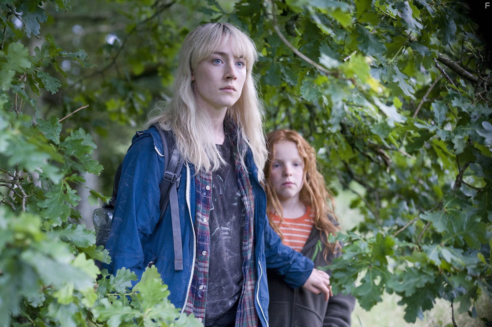 Saoirse Ronan and Harley Bird in Как я теперь люблю (2013)