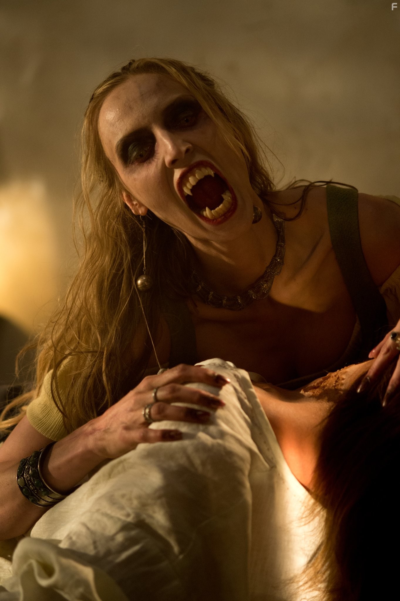 Объятия вампира (2013)