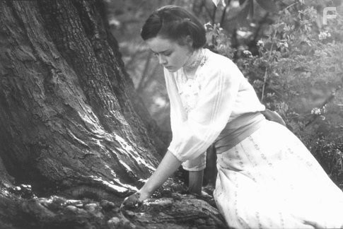 Alexis Bledel in Бессмертные (2002)