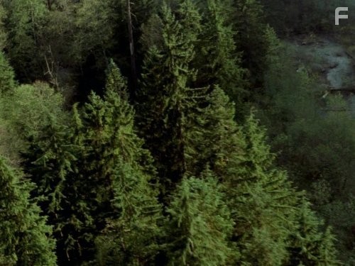 Иеремия (2002)