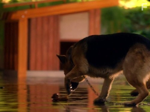 CSI: Место преступления Майами (2002)