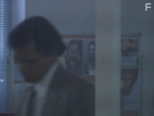 Криминальная Австралия (2008)