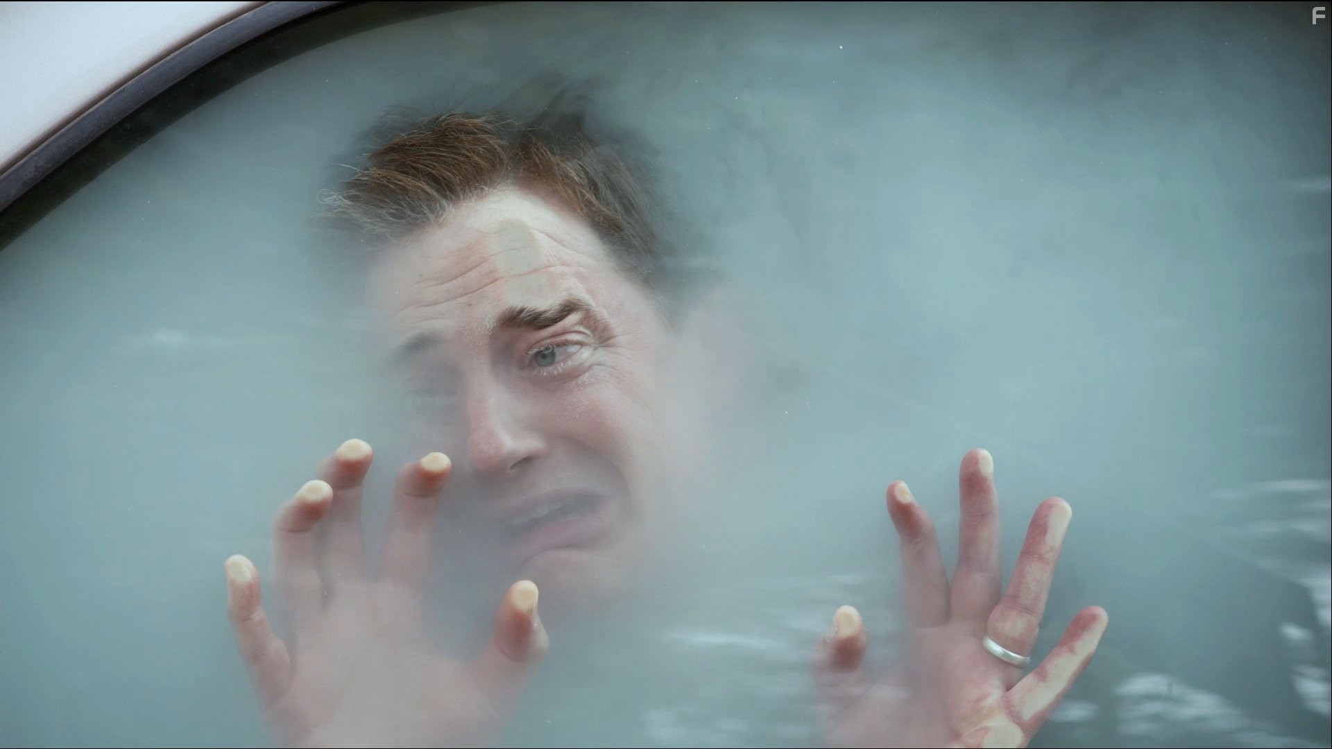 Brendan Fraser in Месть пушистых (2010)