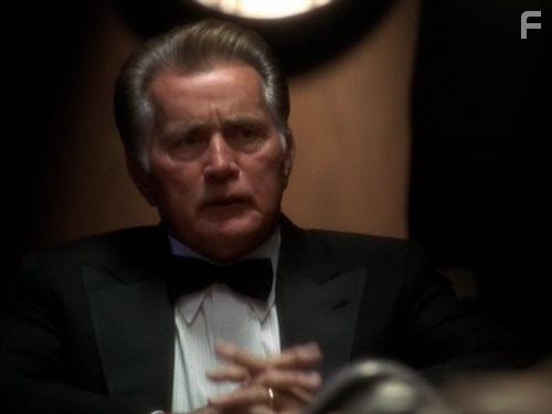 Martin Sheen in Западное крыло (1999)