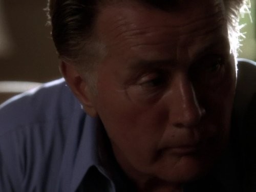 Martin Sheen in Западное крыло (1999)