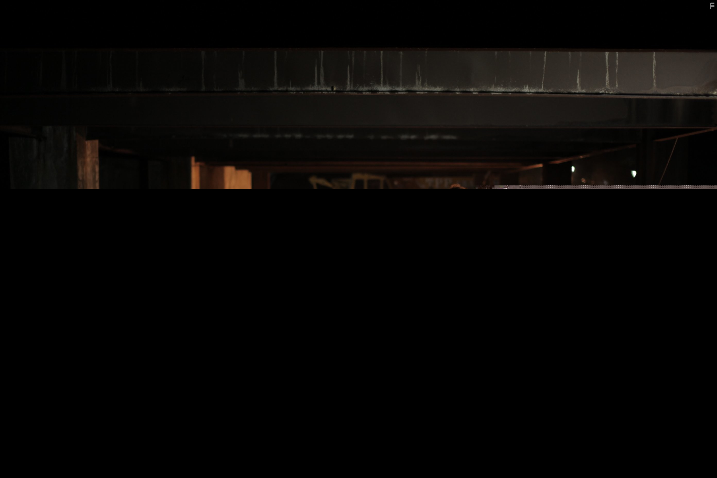 Johan Kirsten in Dragonwolf (2013)