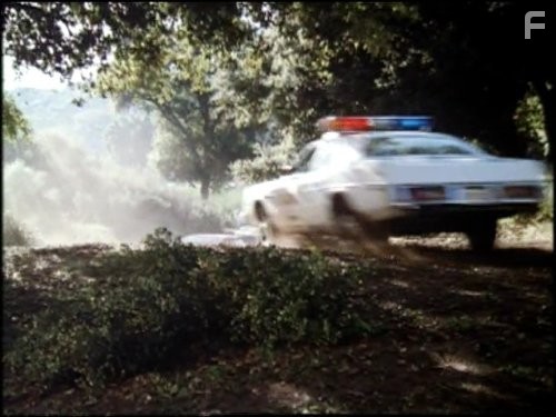 Дюки из Хаззарда (1979)