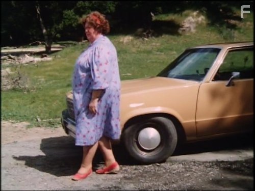 Дюки из Хаззарда (1979)