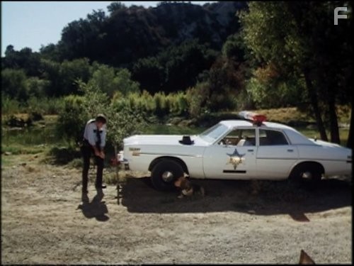 James Best in Дюки из Хаззарда (1979)