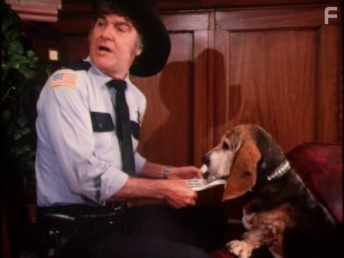 James Best in Дюки из Хаззарда (1979)