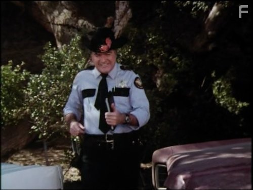 James Best in Дюки из Хаззарда (1979)