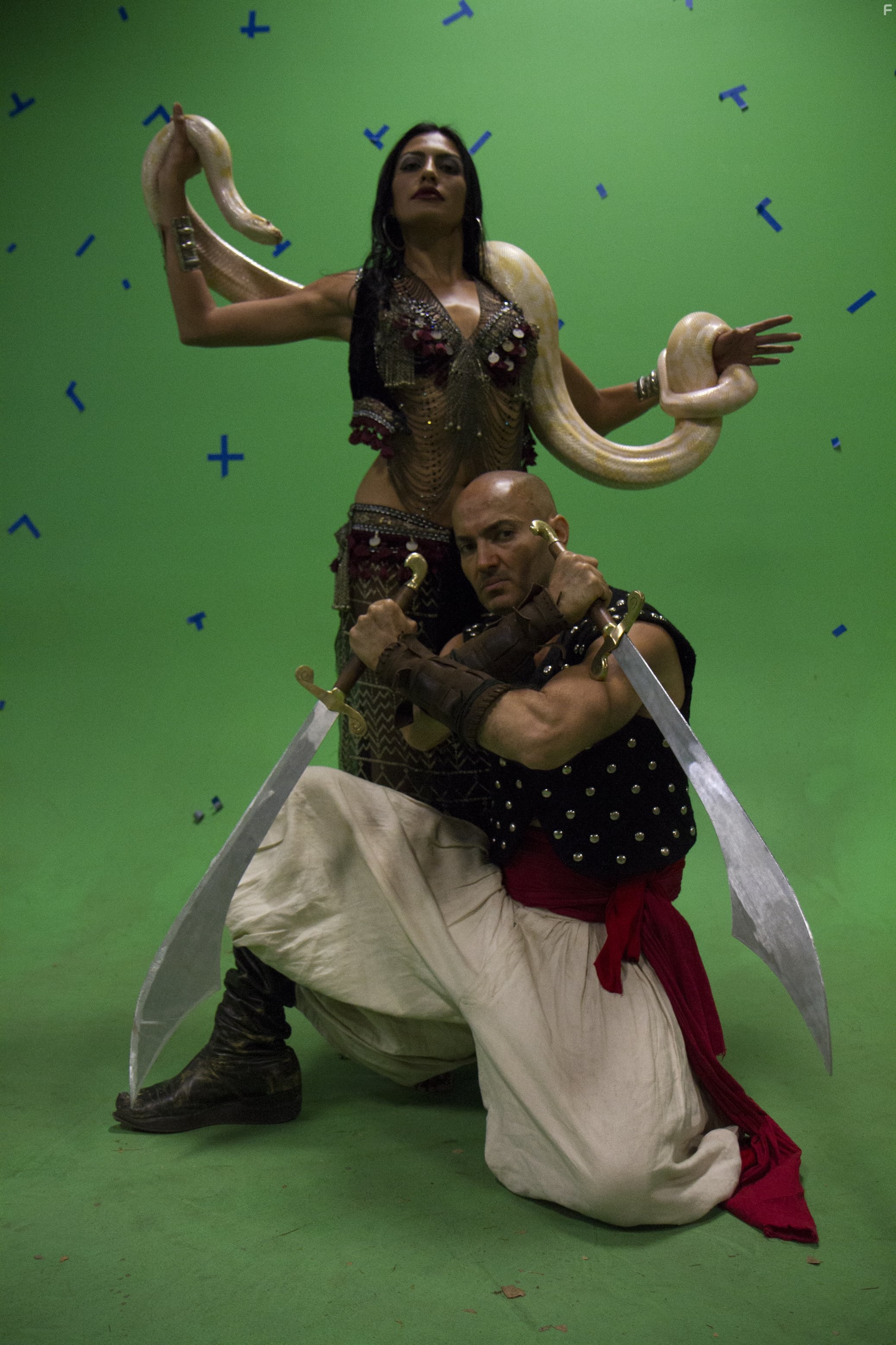 Пятое путешествие Синдбада (2014)